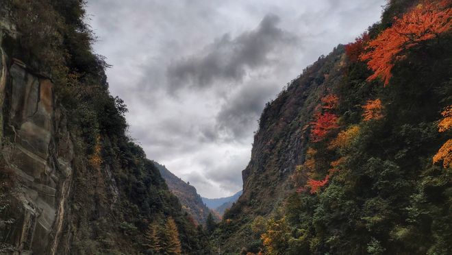 行重庆旅游5日游十大必去景点+行程方案pg电子中国网站重庆旅游攻略带孩子自由(图8)